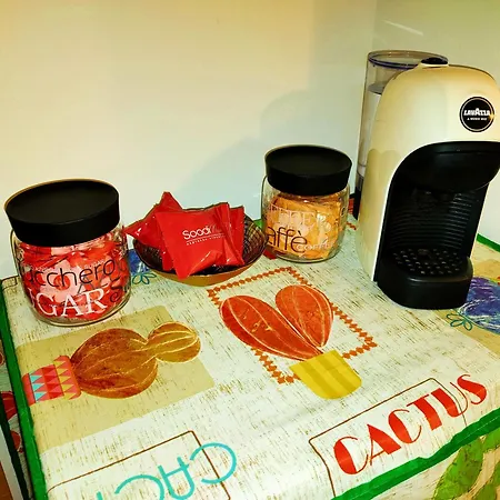 Sofia 公寓 巴勒莫